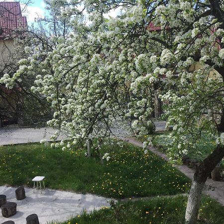 Квартира-Студия В Стиле Шале Truskavets Eksteriør bilde